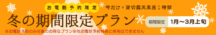 冬の限定プラン